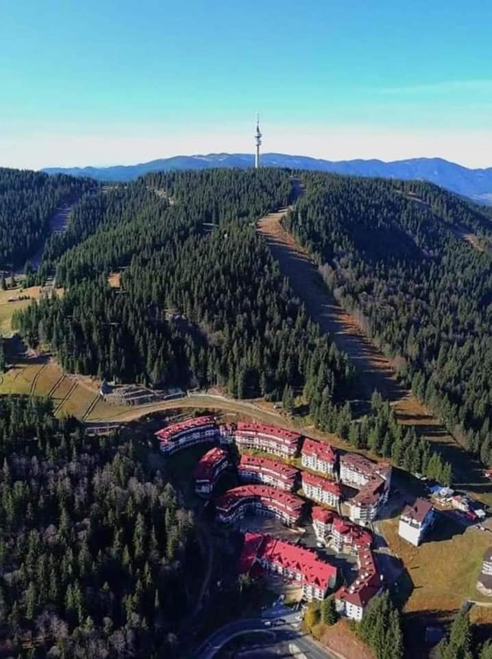 Viva 4-A-23 Apartment Ski To The Door Complex Grand Monastery Pamporovo Exterior photo